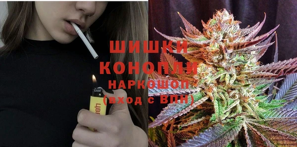 хмурый Абаза