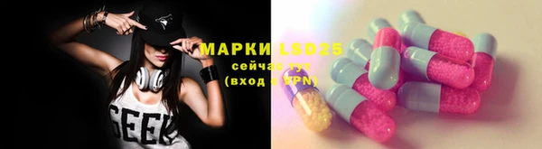 хмурый Абаза