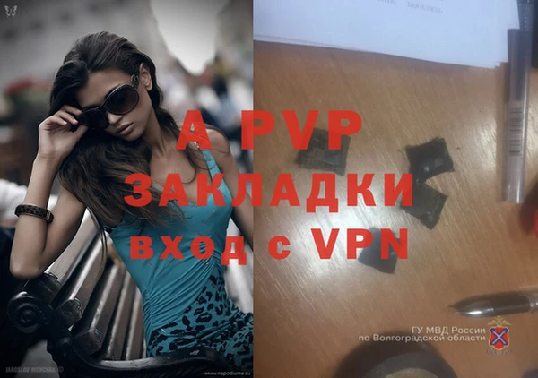 хмурый Абаза