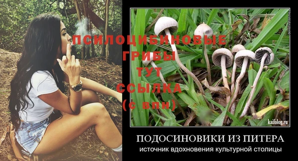 сатива Абдулино